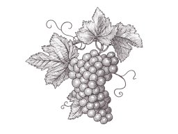 Grape Cluster 3